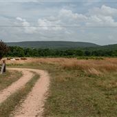 Bunch Rd Pasture