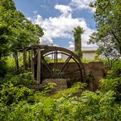 Golda's Mill