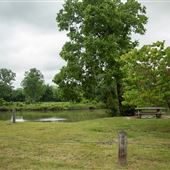 Creek Drive