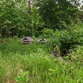 E 888 Rd Small Cemetery