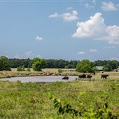 East 700 Rd Field