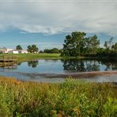 Cleora Pond Near HS