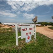 Pike Chicken Farm