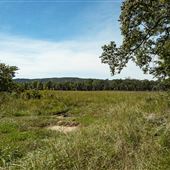 Cookson Wildlife Refuge Walnut Road Field