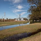 Grain Elevators