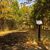 Greenleaf Trail