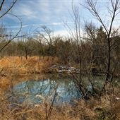 Field Near E 1120 Rd