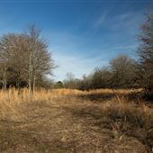 Field Near E 1120 Rd 2