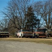 Field of Old Trucks