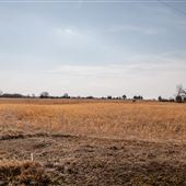 Field View from E390 Rd