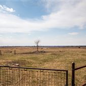 Field View from Road