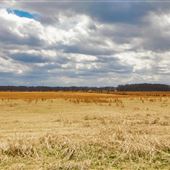 Rural Land