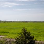 E 170 Rd Field View