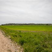 S 500 Rd Field View