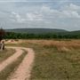 Bunch Rd Pasture