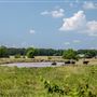East 700 Rd Field