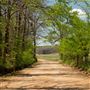 N Pumpkin Hollow Road