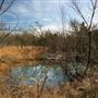 Field Near E 1120 Rd
