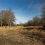 Field Near E 1120 Rd 2