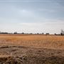 Field View from E390 Rd