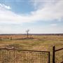 Field View from Road