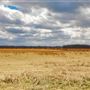 Rural Land