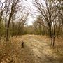 Spirit Trail