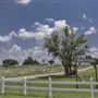 Fairview Cemetery