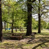 Carters Landing Campground