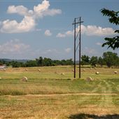 N470 Rd/E Main St Field View
