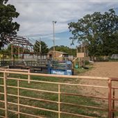 Rodeo Arena