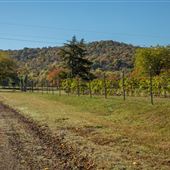 321 Glendale School Road