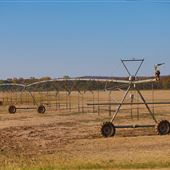 Ag Field