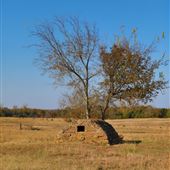 Historic Homesite