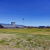 Tiger Field