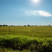 Field Views S 4290