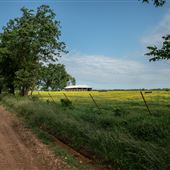 Barn in Field