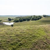 Rolling Hills