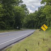 Road and Pasture Entrance near Cedar Creek