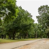 Johnstone Park Views