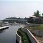 Arrow Head Yacht Club