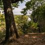 Elephant Rock Nature Park