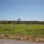 E 730 Rd Landscape