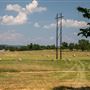 N470 Rd/E Main St Field View