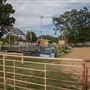 Rodeo Arena