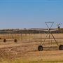 Ag Field