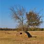 Historic Homesite