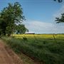 Barn in Field