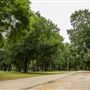 Johnstone Park Views