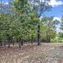 Cherokee Nation Scout Ranch
